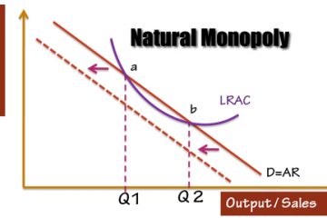 What is a Natural Monopoly