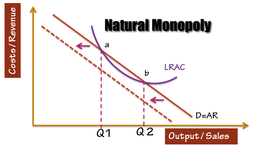 What is a Natural Monopoly