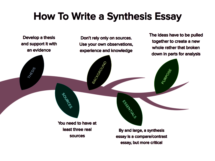 synthesis essay phrases